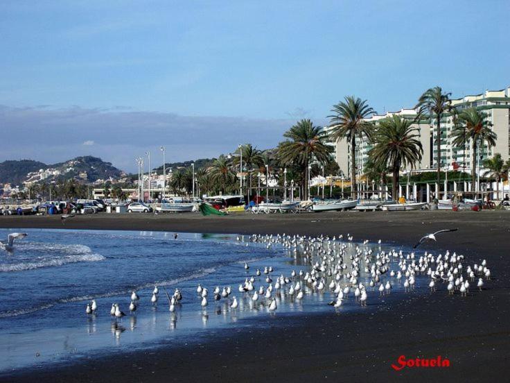 Apartamento Apartamento Cerca Del Mar Málaga Exterior foto